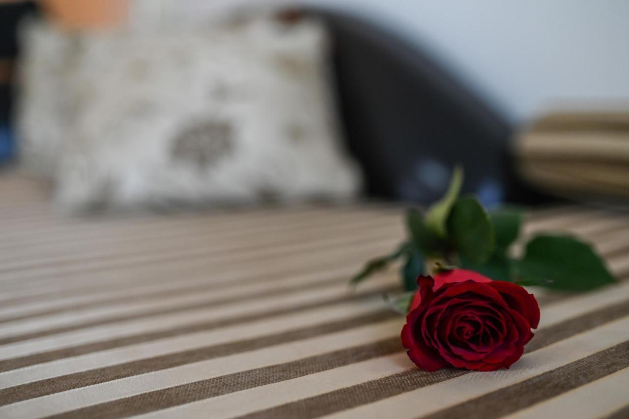 Garni Hotel Dash Novi Sad Eksteriør bilde